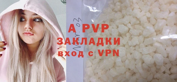 хмурый Верея