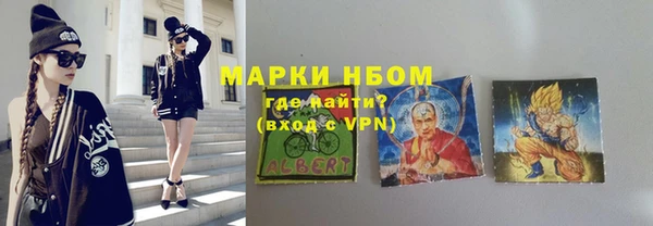хмурый Верея