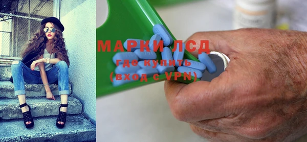 хмурый Верея