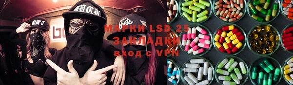 хмурый Верея