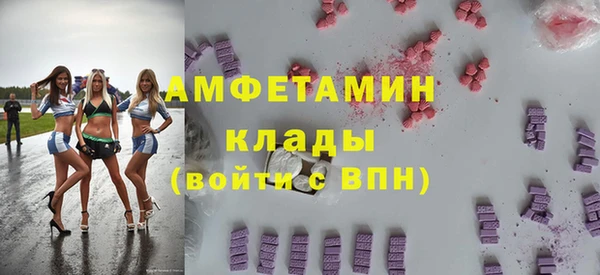 хмурый Верея