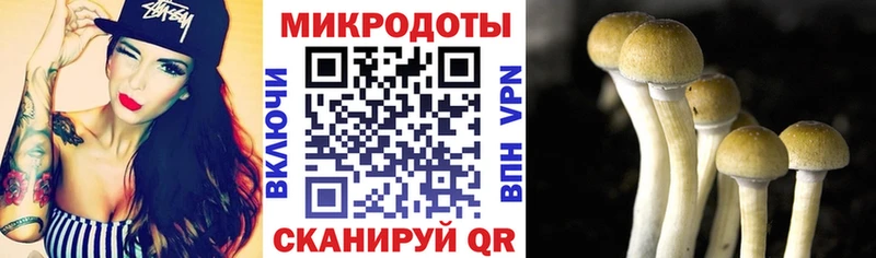 Купить  Артём  Галлюциногенные грибы Magic Shrooms 